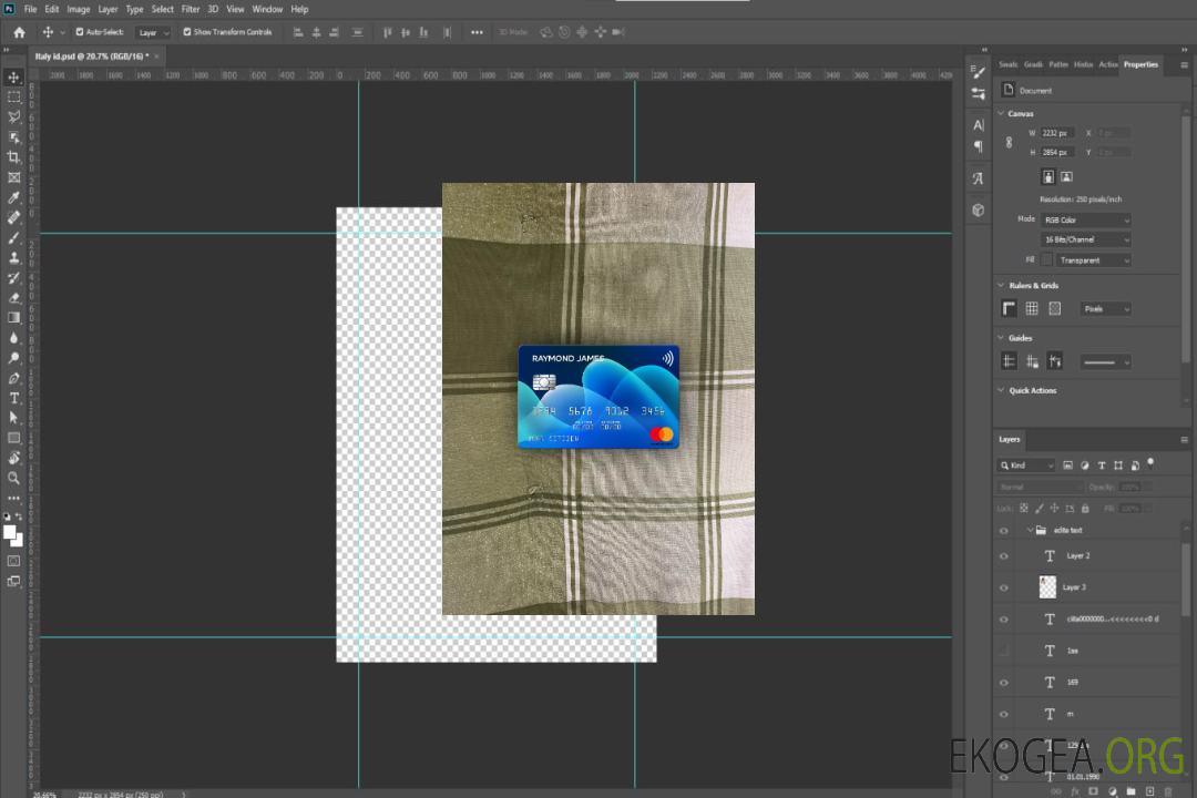 USA Raymond James Financial Bank mastercard photolook , template